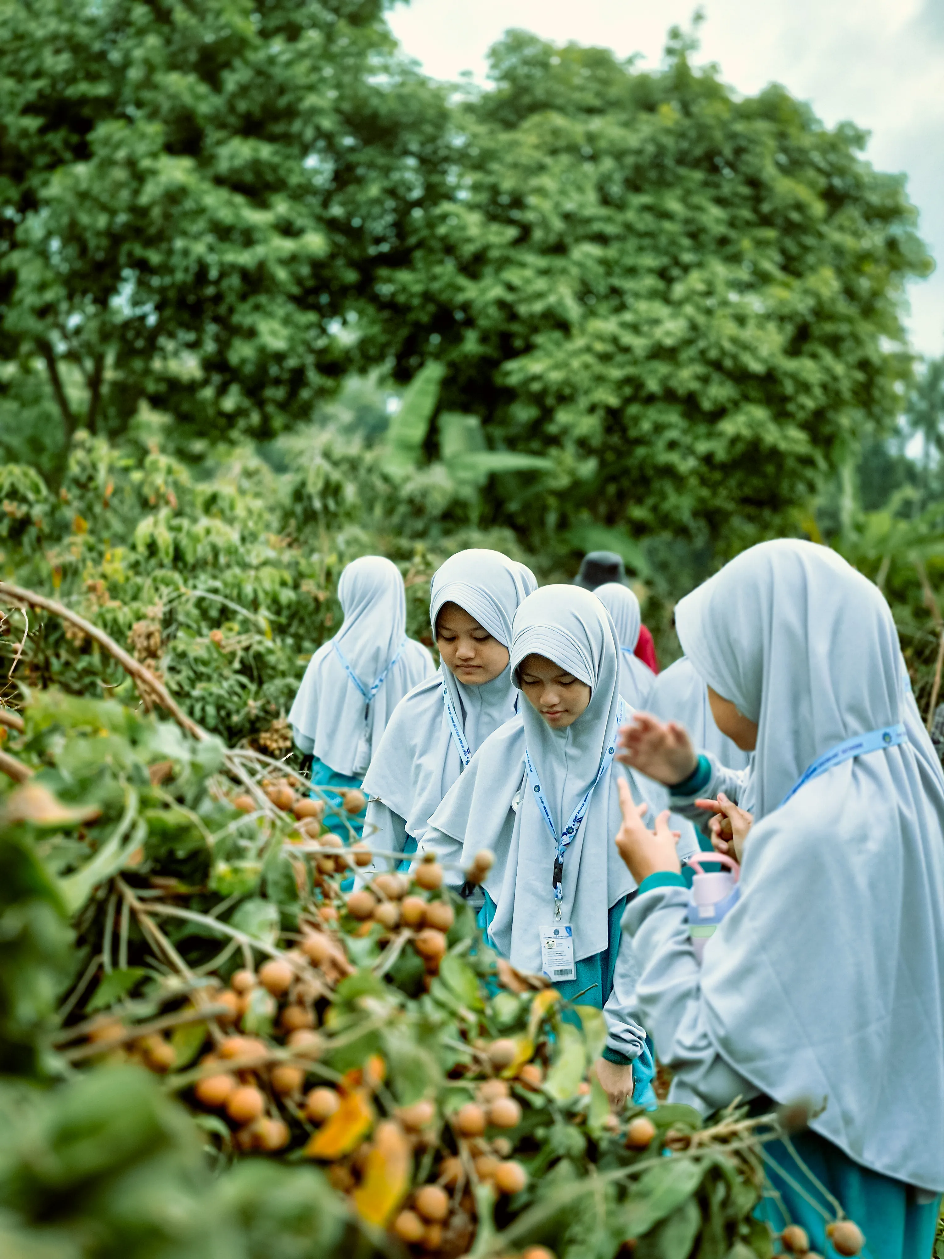 Foto Outing-Class-Kelengkeng